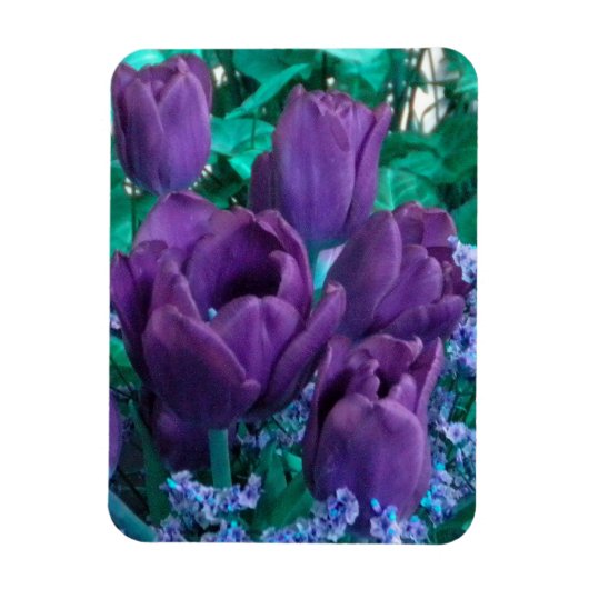 Donkere Paarse Tulps Fridge magnet Magneet (Verticaal)