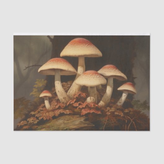 Donkere paddenstoelen  decoupage tissuepapier (Voorkant)