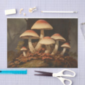 Donkere paddenstoelen  decoupage tissuepapier (Craft)
