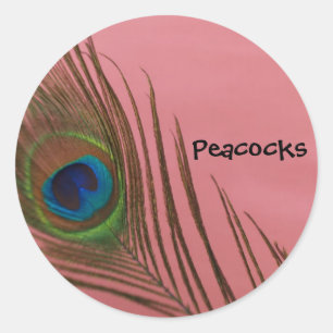 Donkere peacock Feather Ronde Sticker