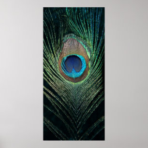 Donkere peacock, nog leven poster