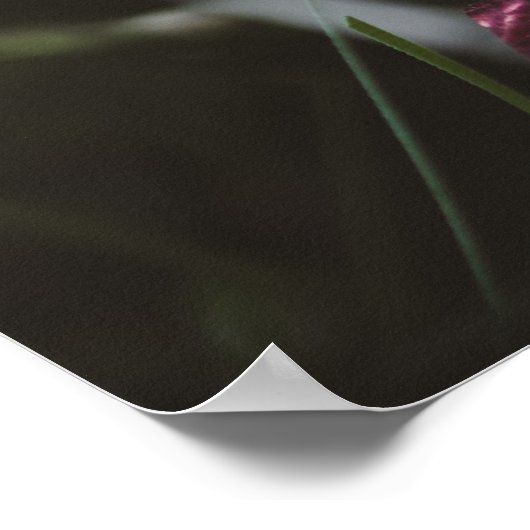 Donkere retro kerstboom poster (Hoek)