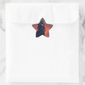 Donkere Ridder van Vlammen Ster Sticker (Tas)