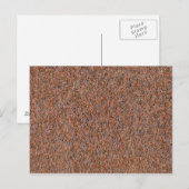 Donkere roest briefkaart (Voorkant / Achterkant)