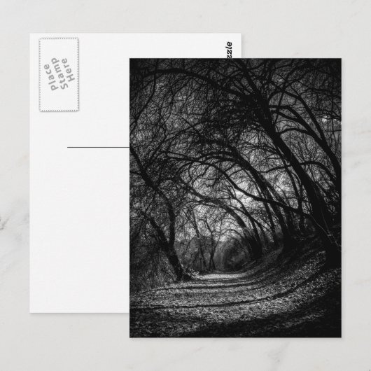 Donkere route briefkaart (Voorkant / Achterkant)