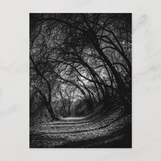 Donkere route briefkaart (Voorkant)