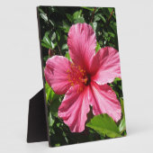 Donkere Roze Hibiscus Fotoplaat (Zijkant)