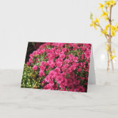 Donkere Roze Mums Kaart (Gele Bloem)