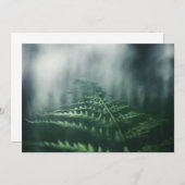 Donkere, sombere varen-natuurfotokaart (Voorkant / Achterkant)