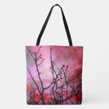 Donkere takken rode knoppen en blauwe hemel