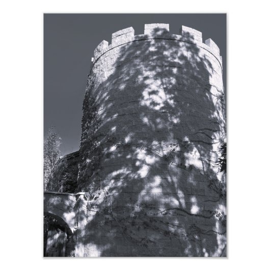 Donkere Toren Foto Afdruk (Voorkant)
