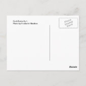 Donkere vlinder 1 briefkaart (Achterkant)