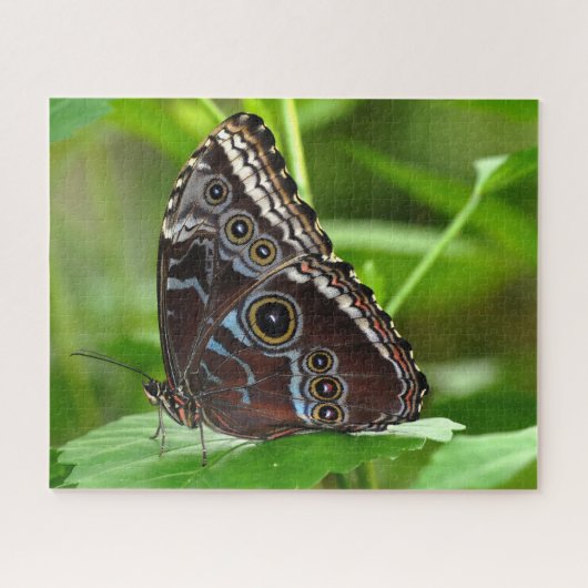Donkere vlinder die op leder zit legpuzzel (Horizontaal)