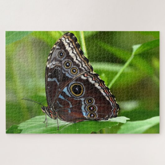 Donkere vlinder die op leder zit legpuzzel (Horizontaal)
