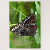 Donkere vlinder die op leder zit legpuzzel (Verticaal)