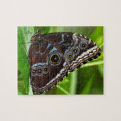 Donkere vlinder op bladeren in de Natuur Legpuzzel (Horizontaal)