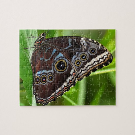 Donkere vlinder op bladeren in de Natuur Legpuzzel (Horizontaal)