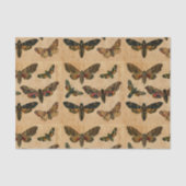 Donkere vlinders  gesmolten papier ontleedpagina (Voorkant)