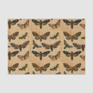 Donkere vlinders  gesmolten papier ontleedpagina