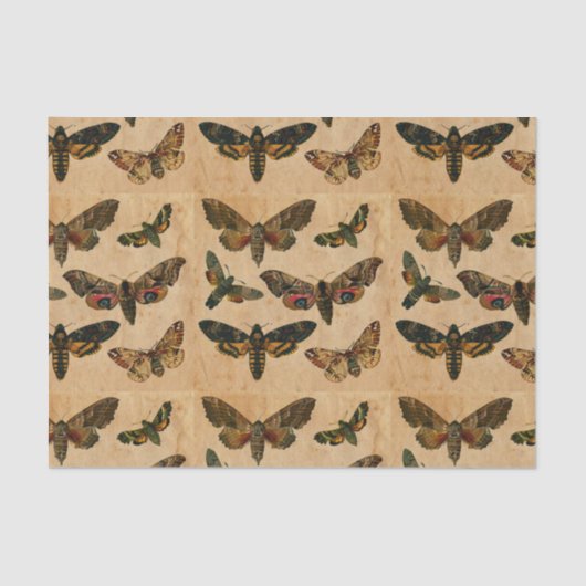 Donkere vlinders  gesmolten papier ontleedpagina (Voorkant)