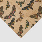 Donkere vlinders  gesmolten papier ontleedpagina (Detail)