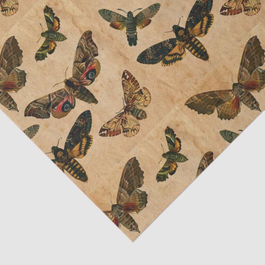 Donkere vlinders  gesmolten papier ontleedpagina (Detail)