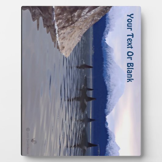 Donkere waterorca fotoplaat (Voorkant)