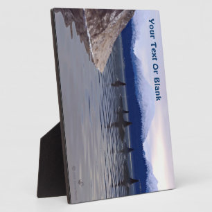 Donkere waterorca fotoplaat