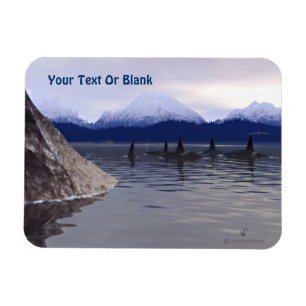 Donkere waterorca magneet