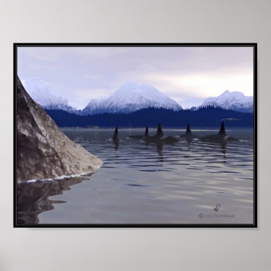 Donkere waterorca poster (Voorkant)