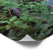 Donkere wensen poster (Hoek)