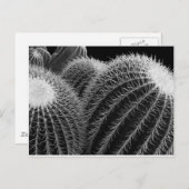 Donkere woestijn. briefkaart (Voorkant / Achterkant)