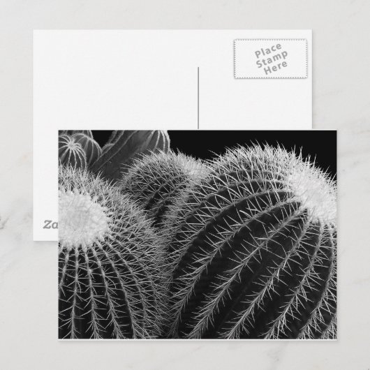 Donkere woestijn. briefkaart (Voorkant / Achterkant)