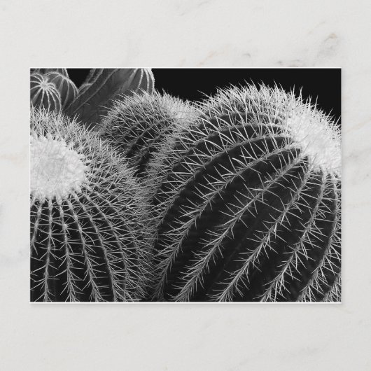 Donkere woestijn. briefkaart (Voorkant)