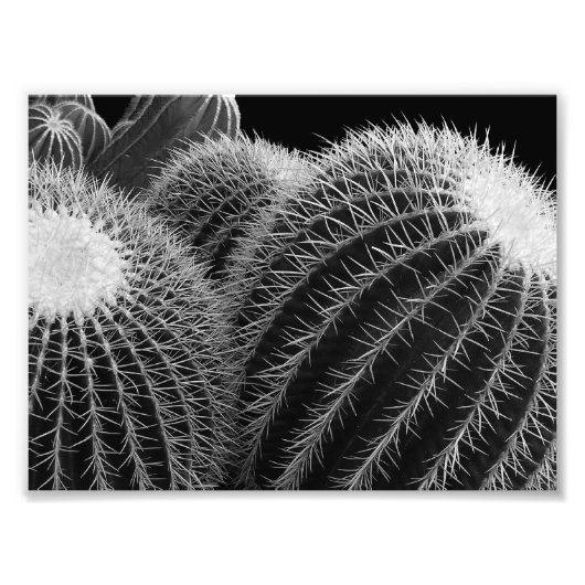 Donkere woestijn. foto afdruk (Voorkant)