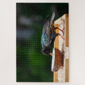 Donkere zeevogel-eetkokosnoot legpuzzel (Verticaal)