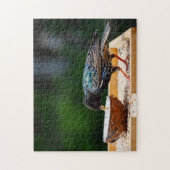 Donkere zeevogel-eetkokosnoot legpuzzel (Verticaal)