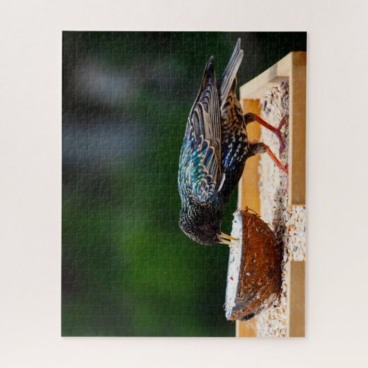 Donkere zeevogel-eetkokosnoot legpuzzel (Verticaal)