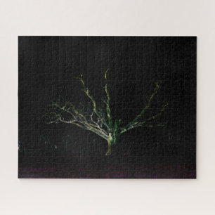 Donkere zijde 1 16x20 520pc jpcn Jigzaag Puzzle Legpuzzel