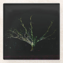 Donkere zijde 1 coastercna