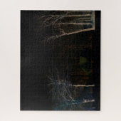 Donkere zijde 4 16x20 520pc jpcn legpuzzel (Verticaal)