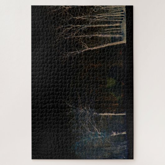 Donkere zijde 4 20x30 1014pc jpcn Jigzaag Puzzle Legpuzzel (Verticaal)