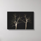 Donkere zijde 9 16.50x11 (41.25x27.5cm) waccna canvas afdruk (Voorkant)