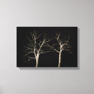Donkere zijde 9 16.50x11 (41.25x27.5cm) waccna canvas afdruk
