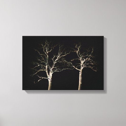 Donkere zijde 9 16.50x11 (41.25x27.5cm) waccna canvas afdruk (Voorkant)