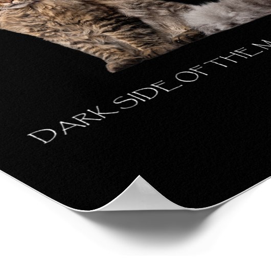 Donkere zijde van de muntdekplaat poster (Hoek)