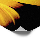 Donkere zon poster (Hoek)