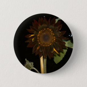 Donkere zonnebloem bij nacht ronde button 5,7 cm