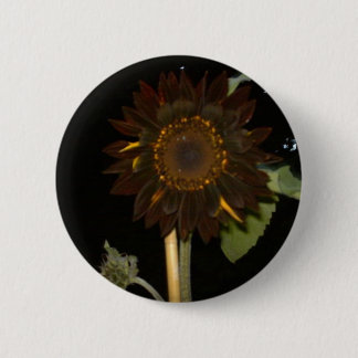 Donkere zonnebloem bij nacht ronde button 5,7 cm