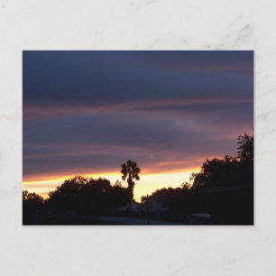 Donkere zonsondergang en palmboom op een briefkaar briefkaart